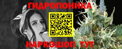 кокс Донской