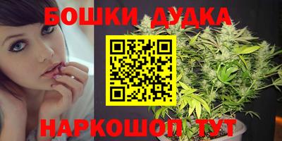 кокс Донской