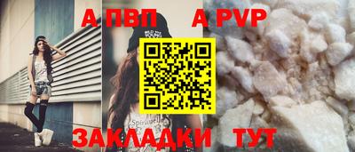 кокс Донской