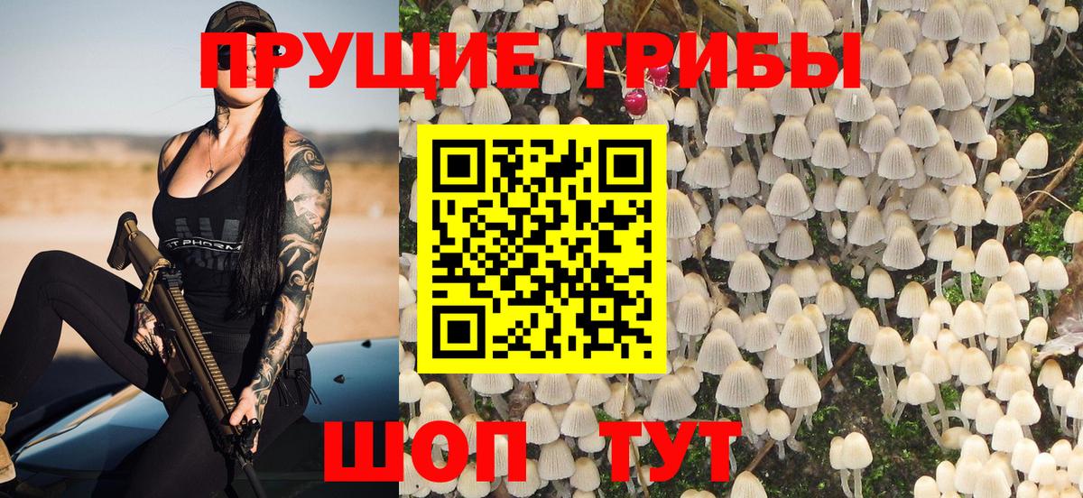 Псилоцибиновые грибы мухоморы  Вход с VPN  Лесосибирск 